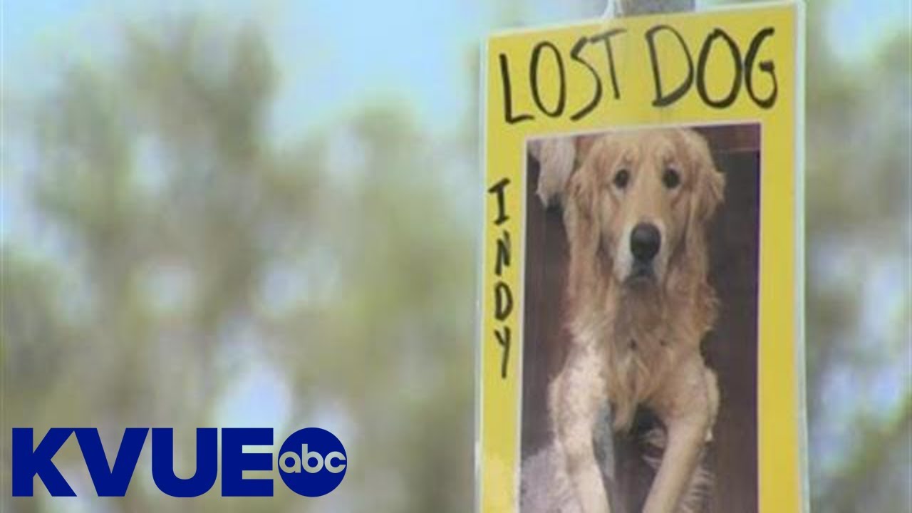 Burnet County Sheriff's Office continues investigation into dog found buried at pet resort | KVUE
