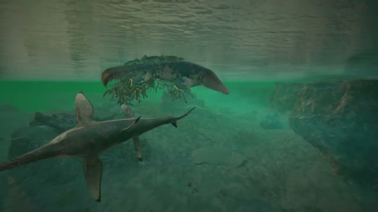 Tylos vs Dolphin and Sarco