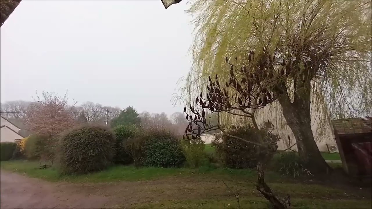 Tempête Mathis - Une tempête de dingue allant de l'orage aux violentes rafales !