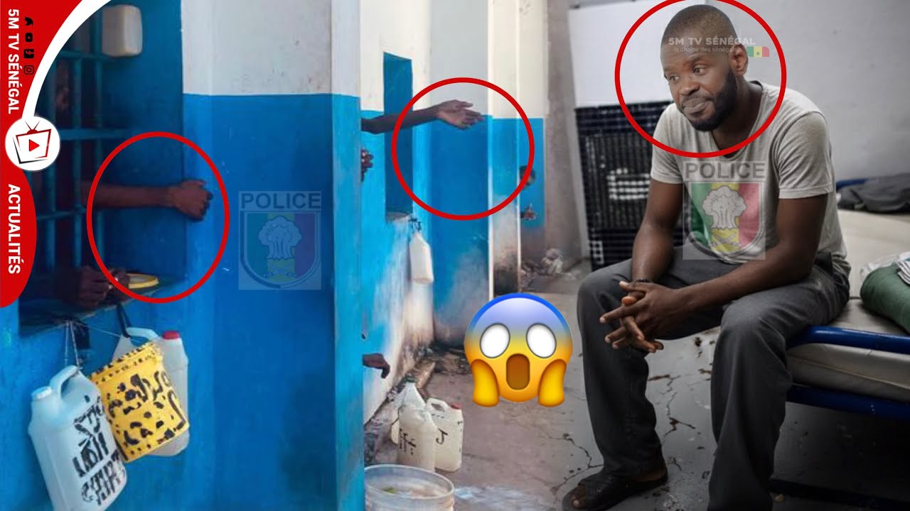 Voici La Situation Pape Cheikh Diallo à prison…😱
