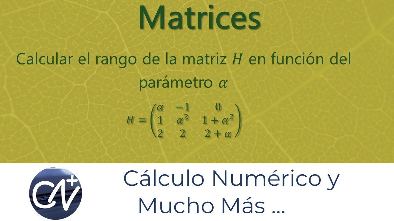 Calcular el rango de una matriz en función de un parámetro