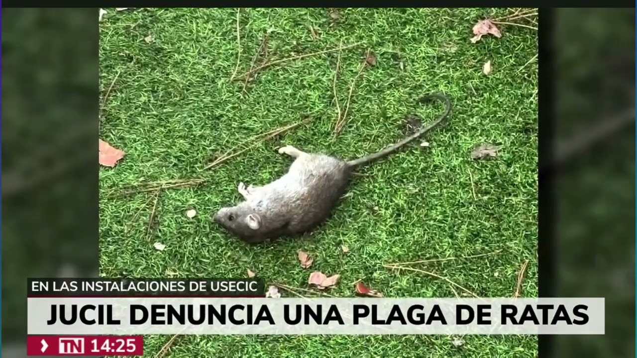 Insalubridad y precariedad