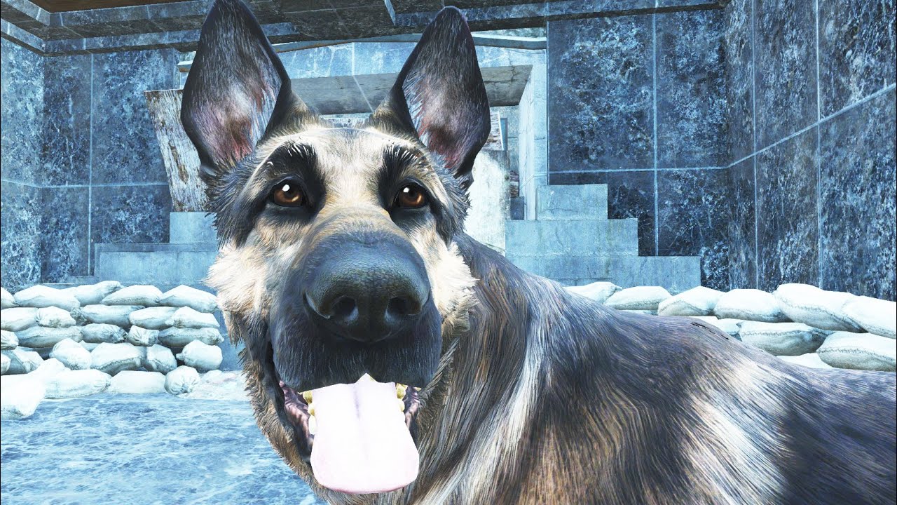 Fallout 4 - All Companions Comments - Dogmeat Located The Fort Hagen Entrance