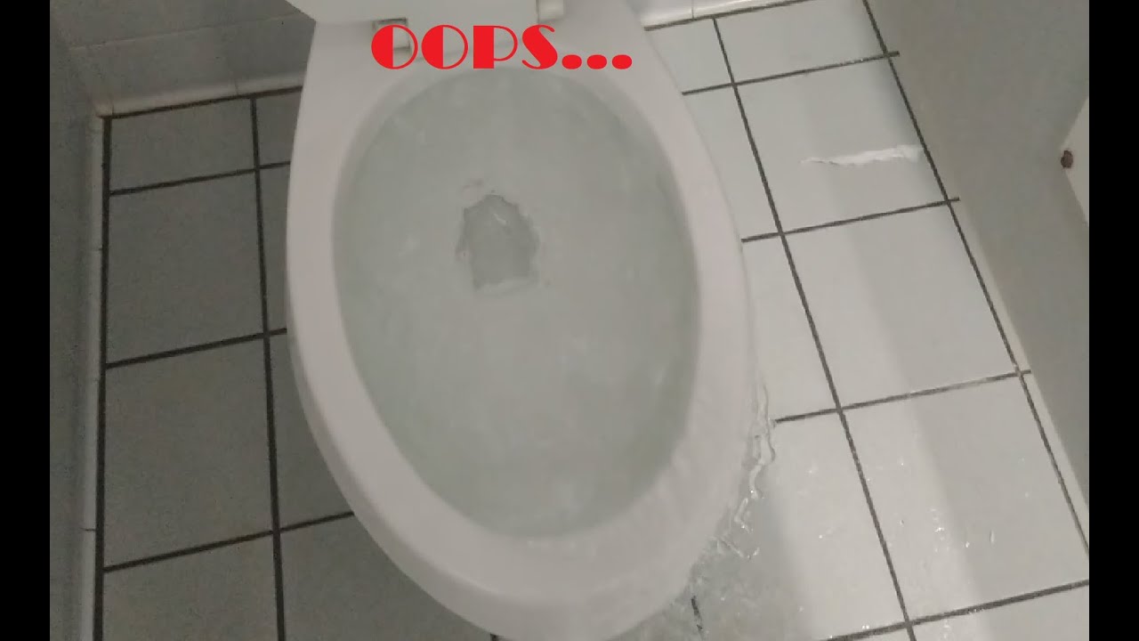 OOPS! Accidently flooding a 1997 American Standard Madera Toilet