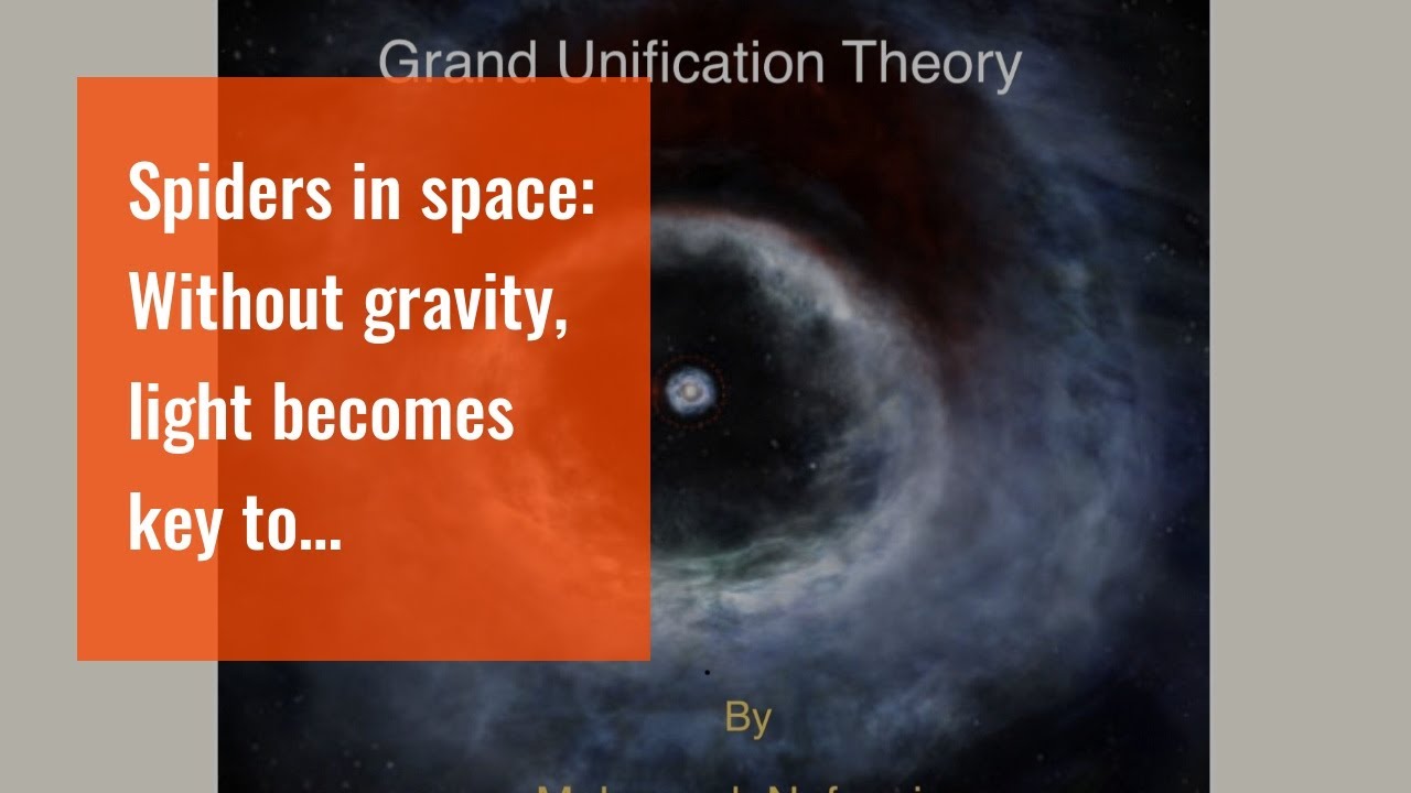 Spiders in space: Without gravity, light becomes key to orientation