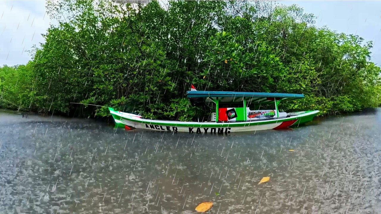 Mengerikan, hujan deras disertai petir saat sedang memancing di sungai.
