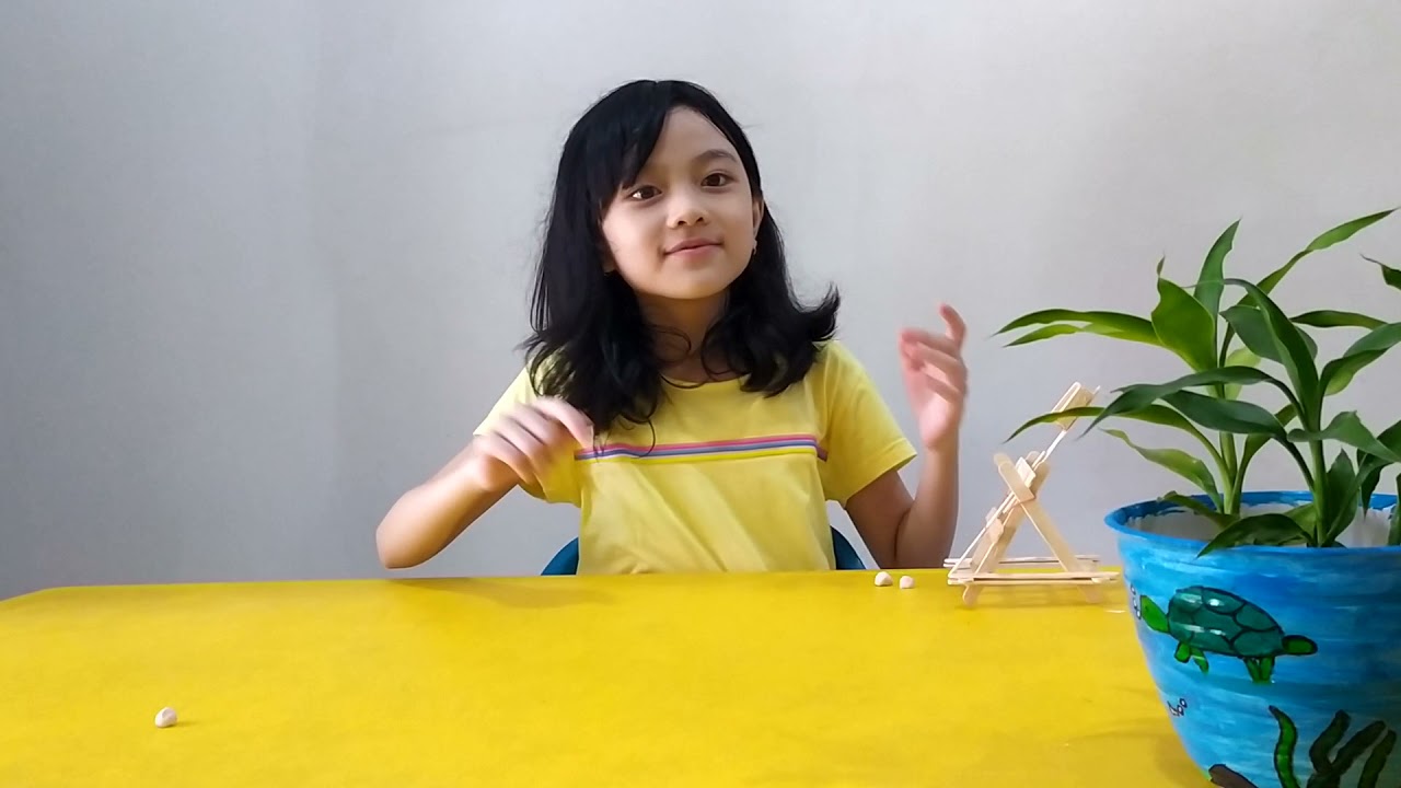Science Explanation About a Catapult