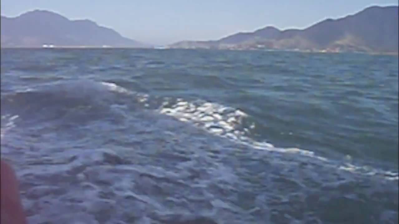 Swan 43