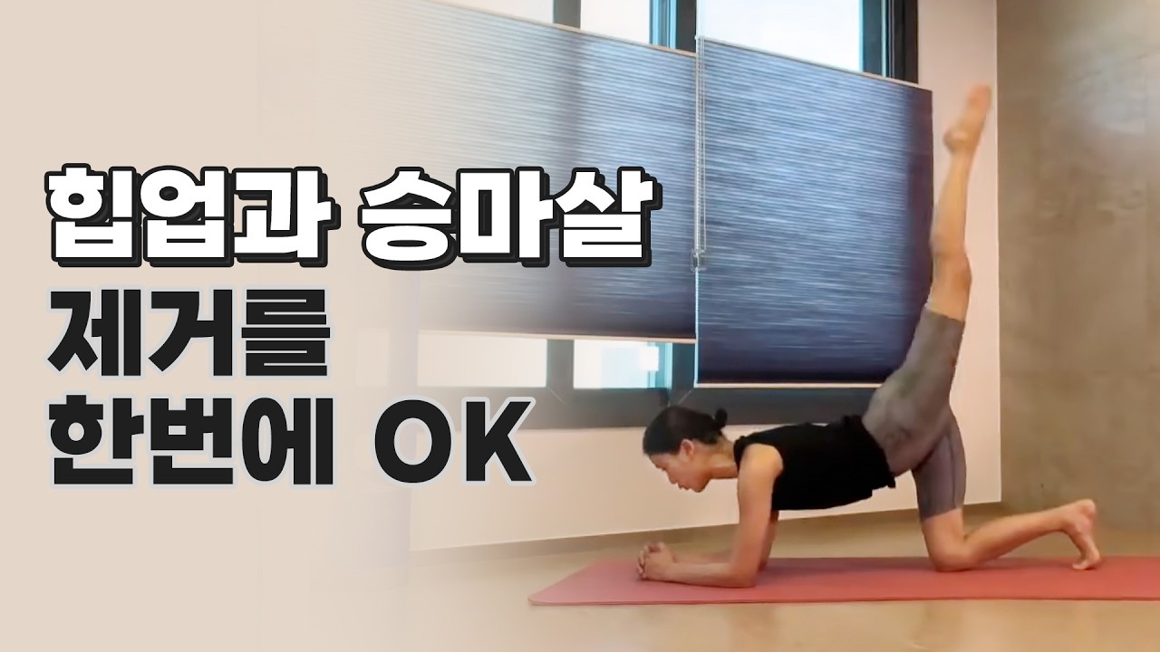 10분 힙업+승마살 운동(hipup 10 minute) - 강하나 스트레칭