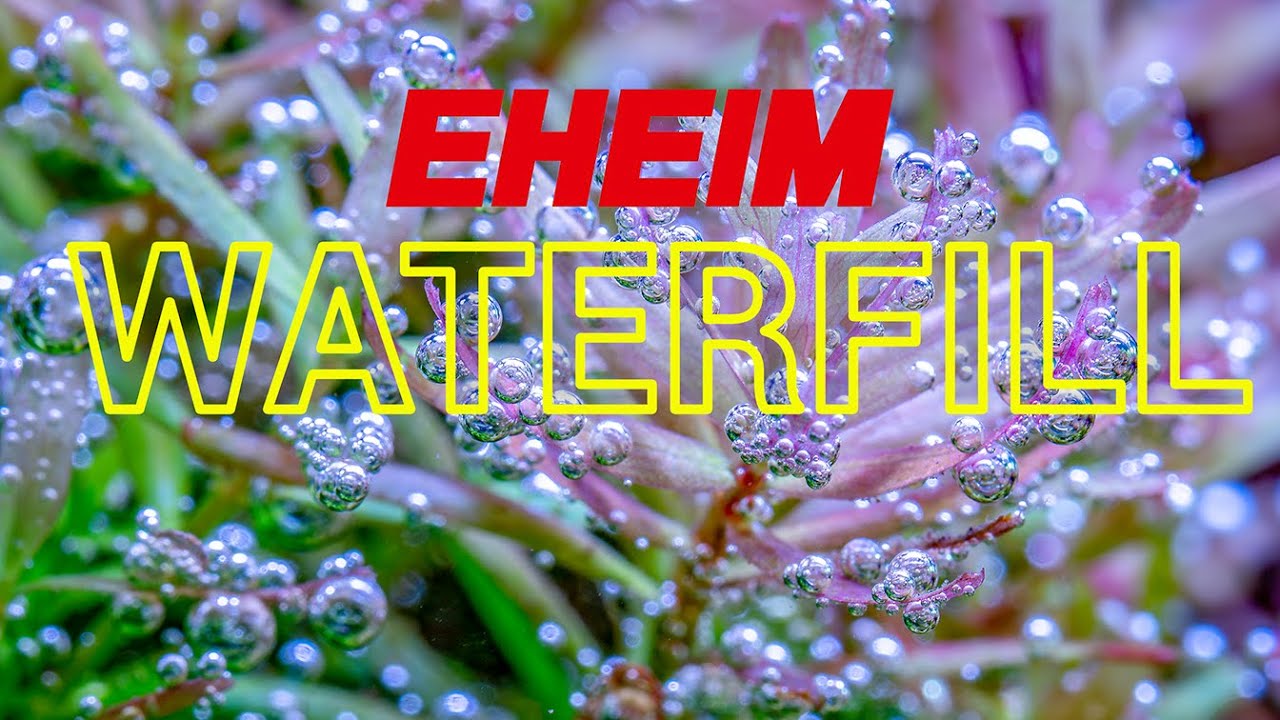 Never Refill Your Aquarium Manually Again! | EHEIM WaterRefill