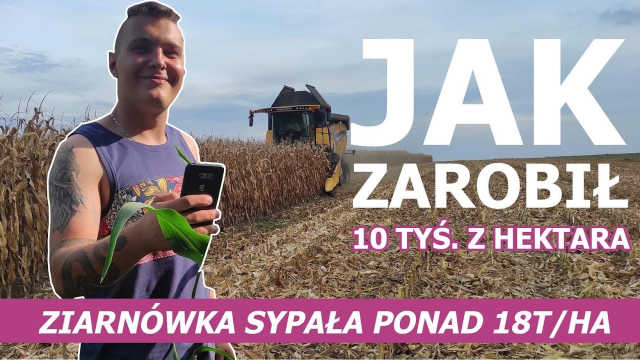 JAK ZAROBIĆ 10 TYSIĘCY Z HEKTARA ? #KUKURYDZA NA ZIARNO