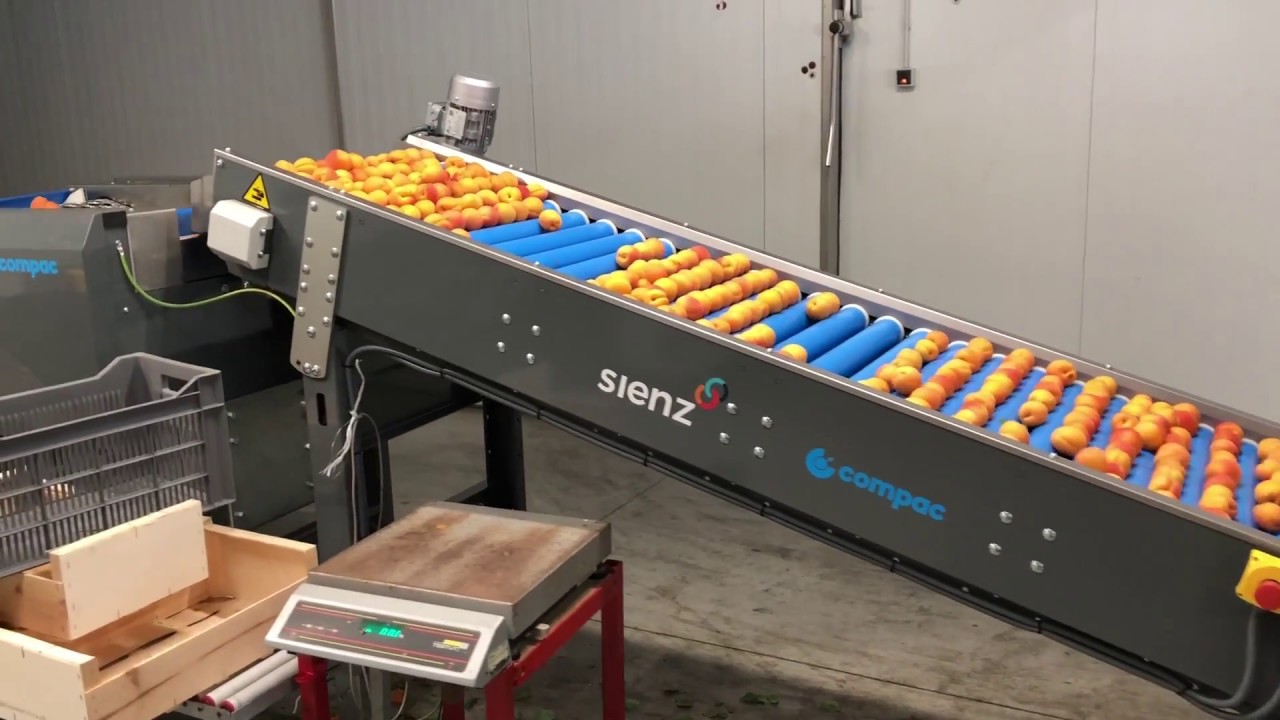 Implantation d'une ligne pour 3 tonnes-heure d'abricots chez Gobert en France