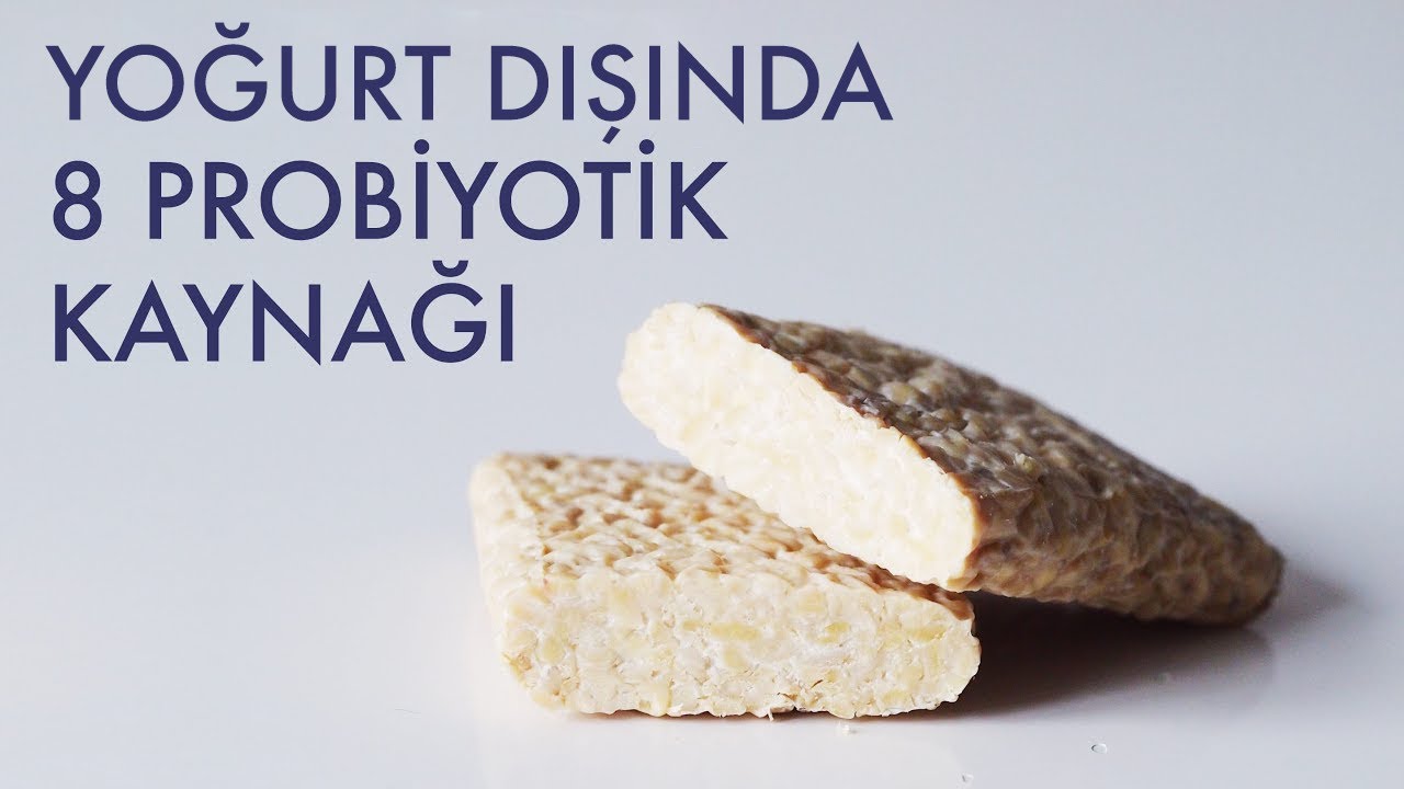 YOĞURT DIŞINDA 8 DOĞAL PROBİYOTİK KAYNAĞI | #6 Probiyotikler ve Mikrobiyota