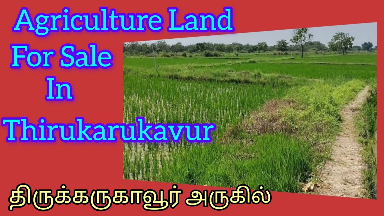 Agriculture Lad For Sale IN Thirukarukkavur Near // # agriculturelandforsale