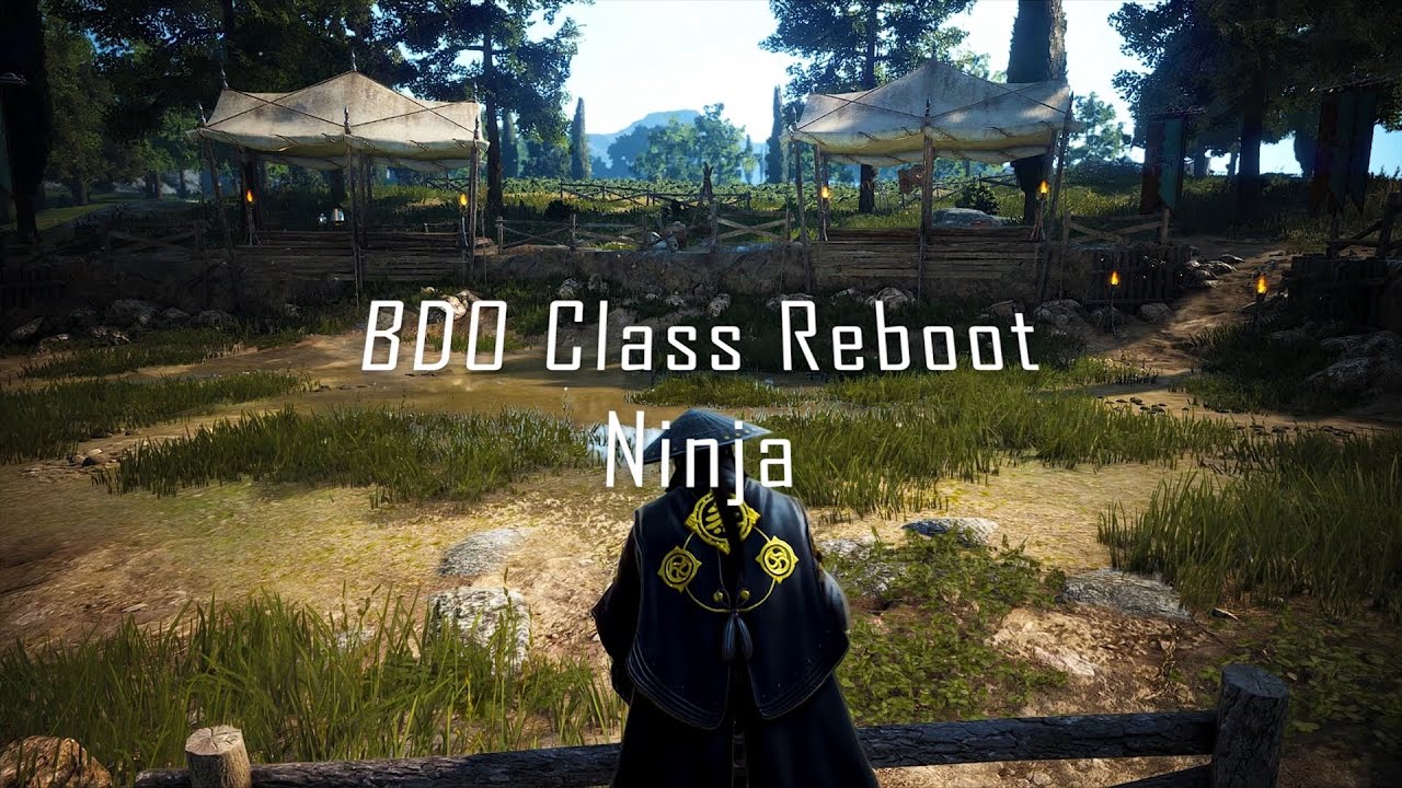 BDO Class Reboot - Ninja - Succession/Awakening Guide - Intro, Review, Movement, Combos and Thoughts