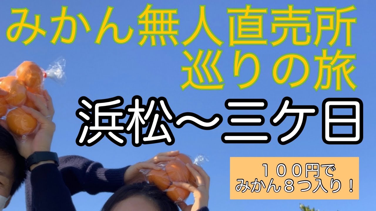 浜松〜三ヶ日 みかん無人直売所巡り＆食べ比べ