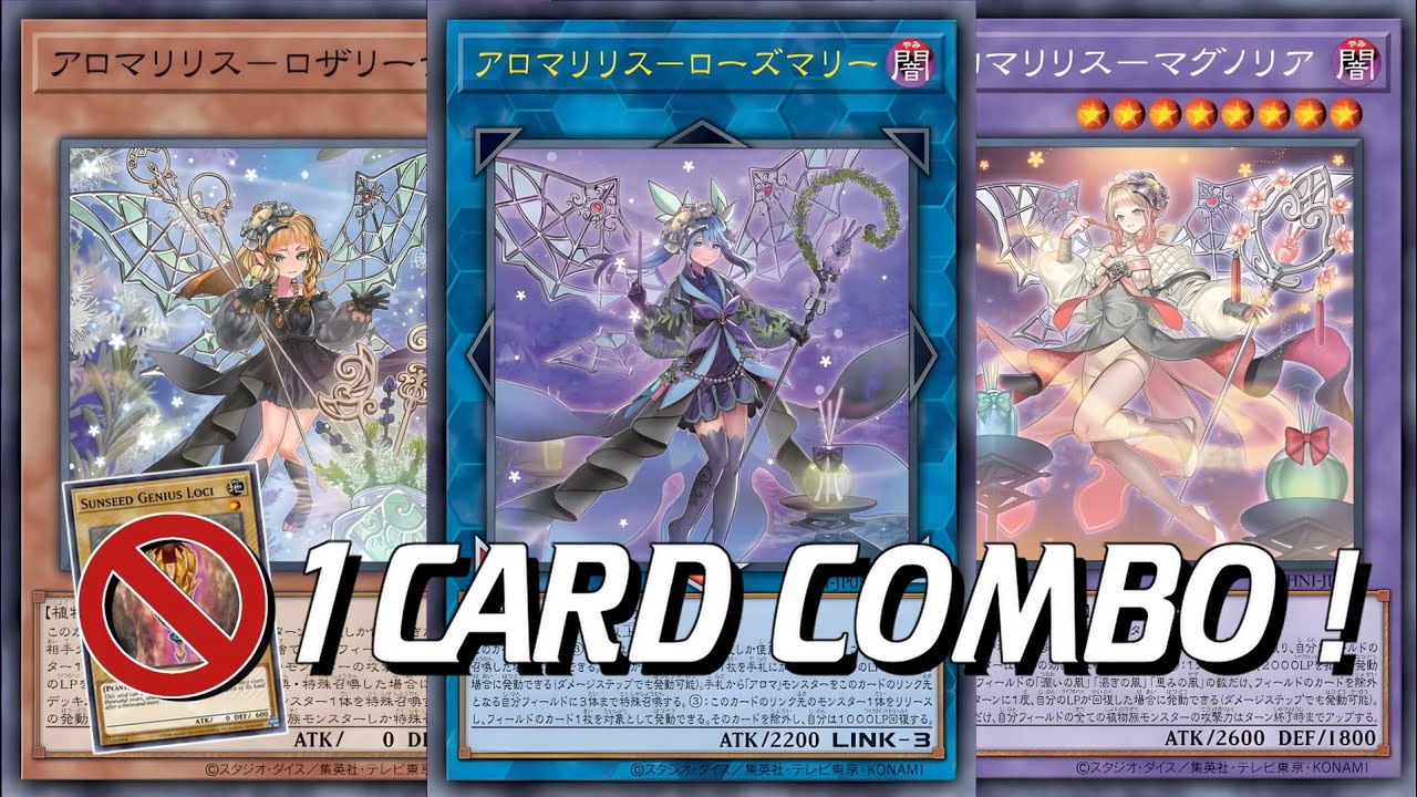 No Sunavalon Needed! New Aroma 1 Card Combo 6 INTERRUPTIONS - Joshua Schmidt in Shambles