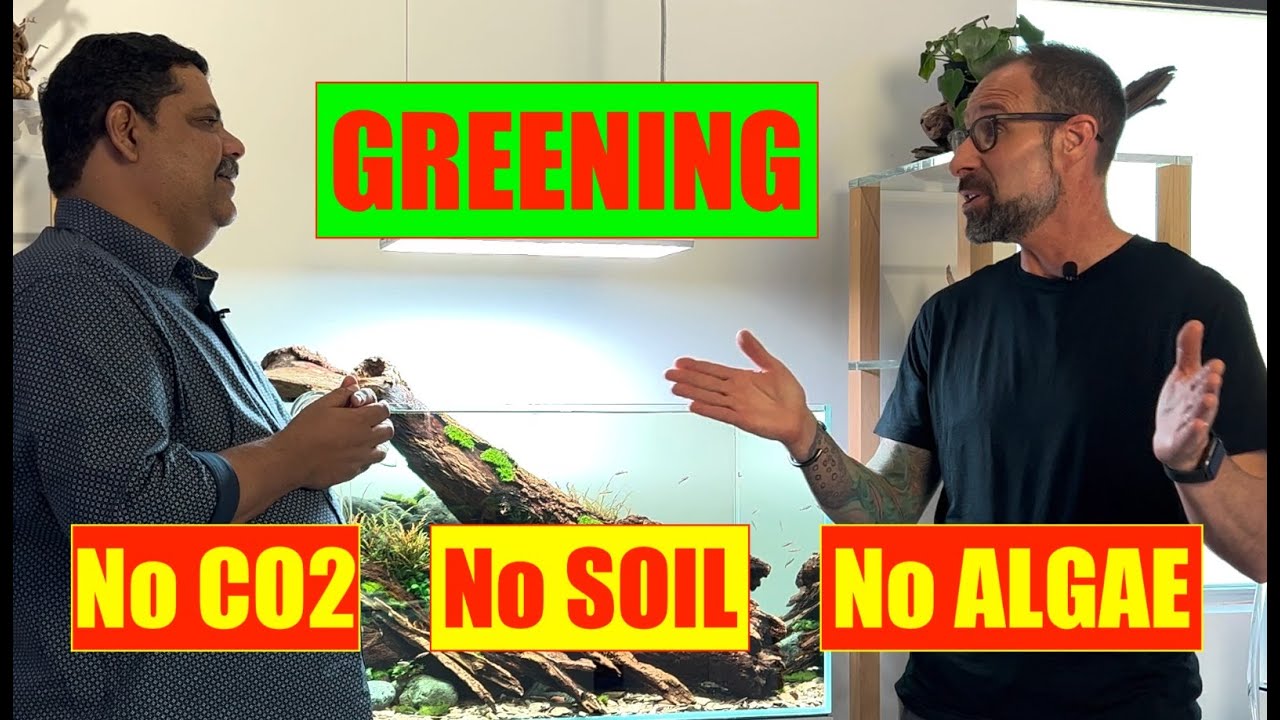 ОЗЕЛЕНЕНИЕ - Джефф Сенске | Без почвы, без CO2, без водорослей | Дизайн природного аквариума | Ma...