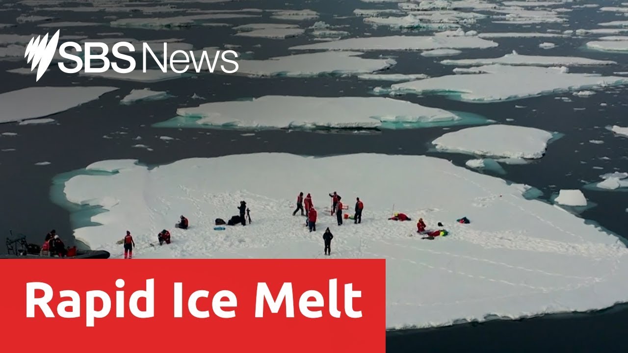 Scientist find record loss of sea ice in the arctic circle