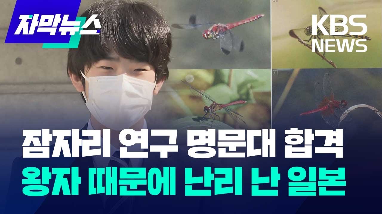 [자막뉴스] 잠자리 연구 명문대 합격...왕자 때문에 난리 난 일본 / KBS 2024.12.13