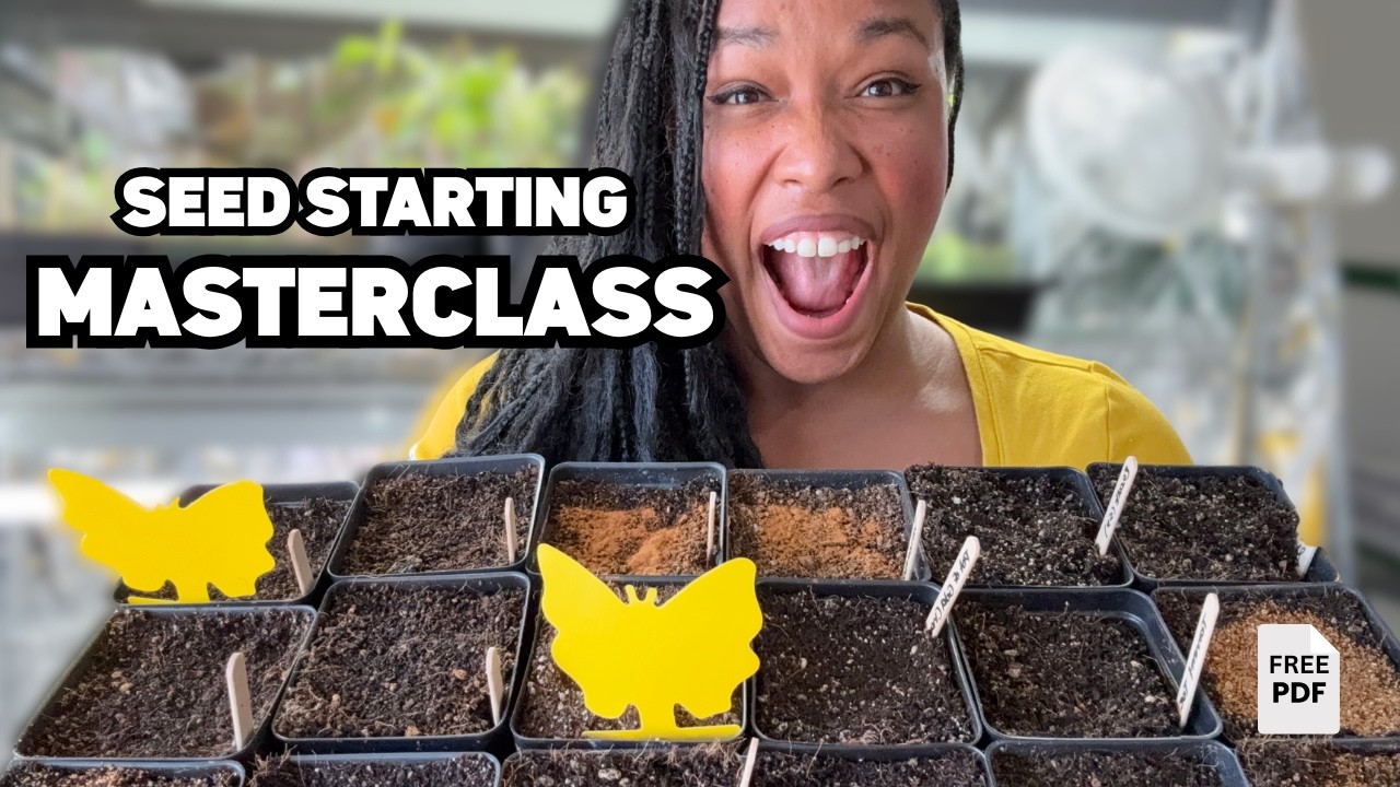 You Can Become a Seed Starting Pro!
