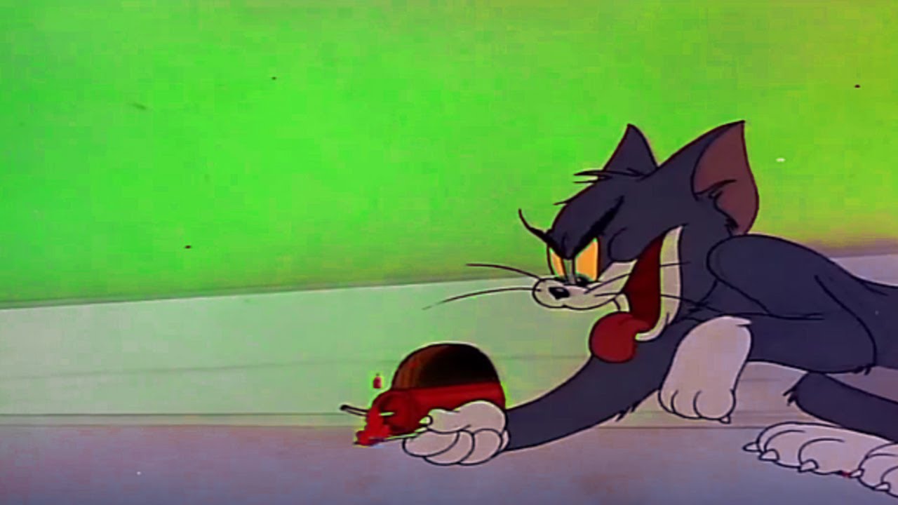 Tom And Jerry English Episodes - Trap Happy  - Cartoons For Kids Tv