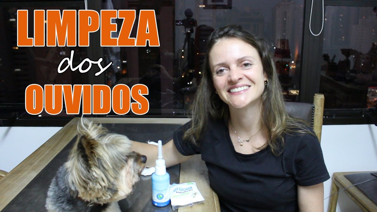 Como limpar o ouvido de cachorro ou gato -Veterinária Explica