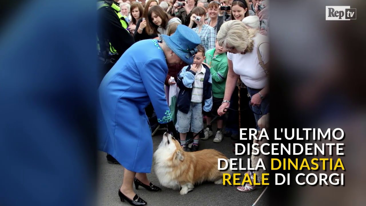 Gb: la Regina piange il suo Willow, l'ultimo cane della dinastia reale