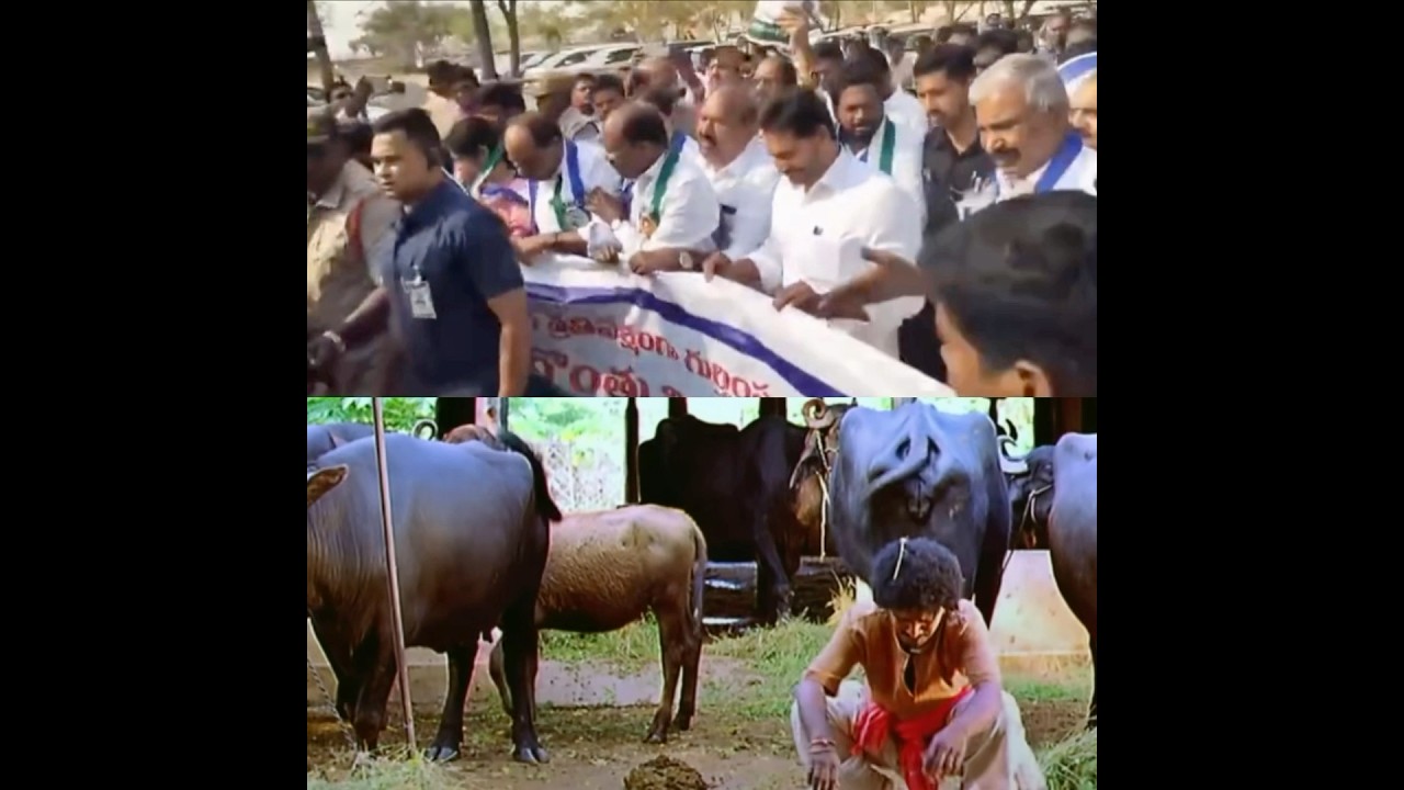 YSRCP Walkout From Assembly | YS Jagan Protest With Placards At Assembly😂 #JaganTrolls #ViralShorts
