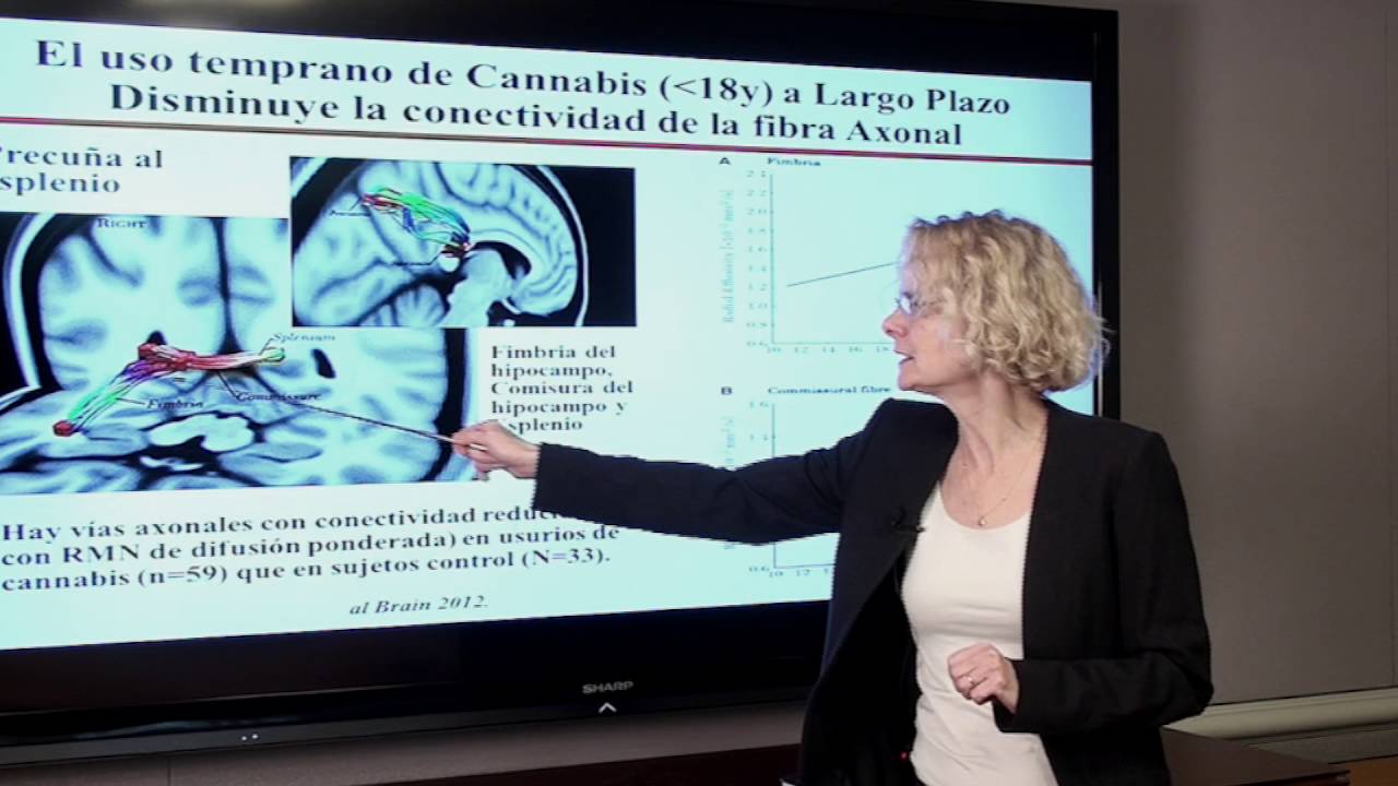 Nora Volkow Debate Marihuana Mexico