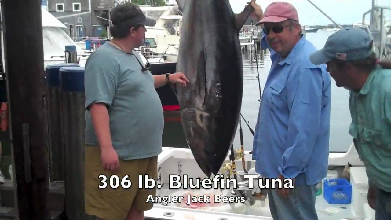 Giant Bluefin Tuna Beers Trip 2009