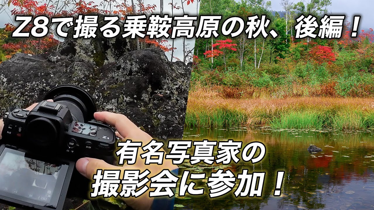 【自然写真】Nikon Z8で撮る錦秋の乗鞍後編｜有名写真家さんの撮影会に参加！