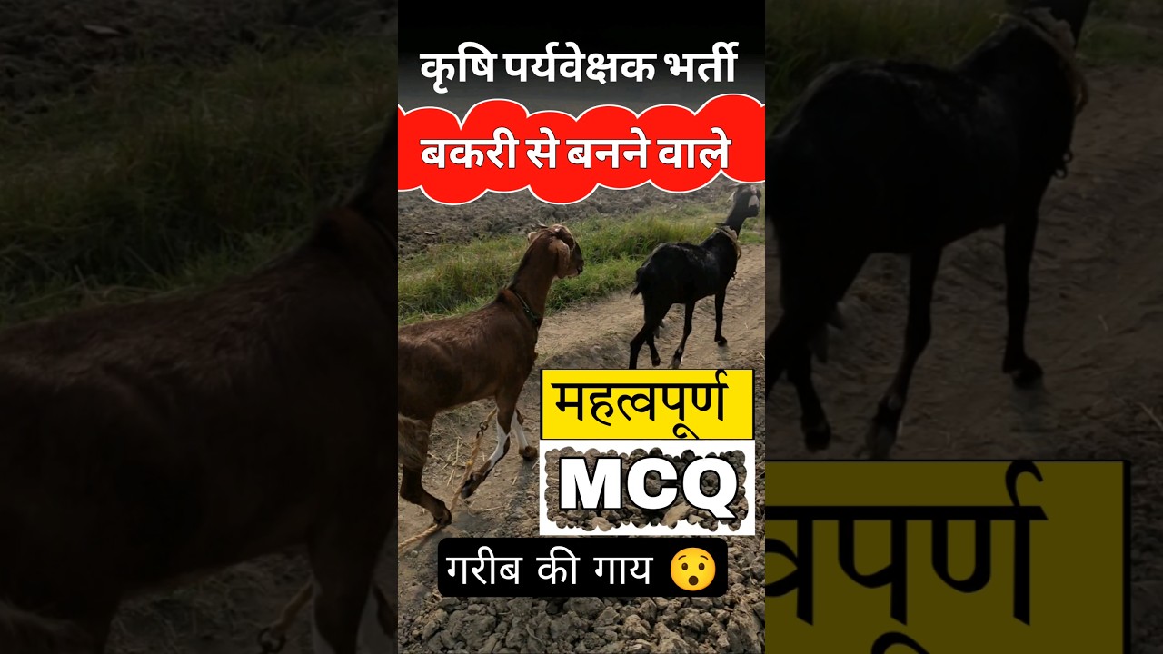 कृषि पर्यवेक्षक भर्ती 2025 | पशुपालन विज्ञान | #agriculturesupervisor2025 #captainagro