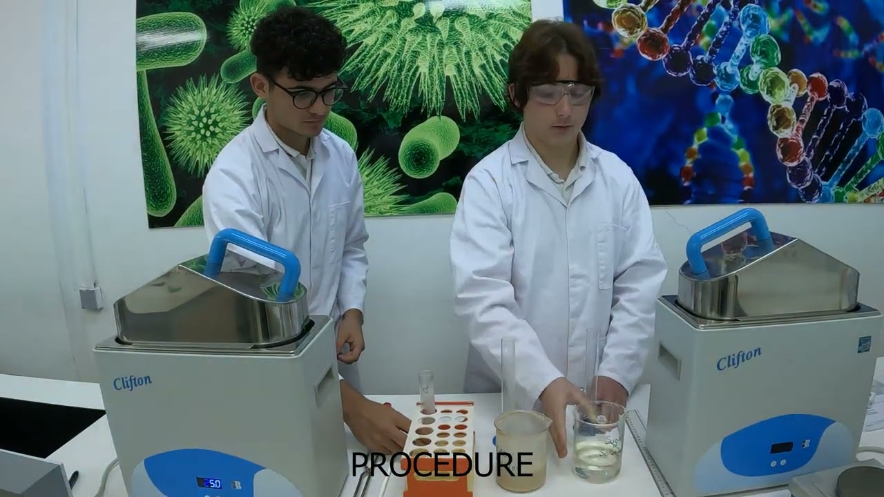 Biology Effect Of Temperature On The Rate of Respiration In Yeast