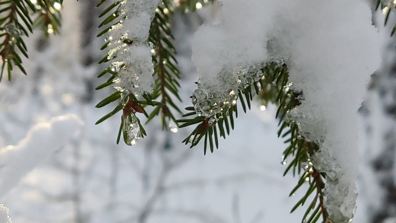 Air (J.S.Bach). Jazz composition