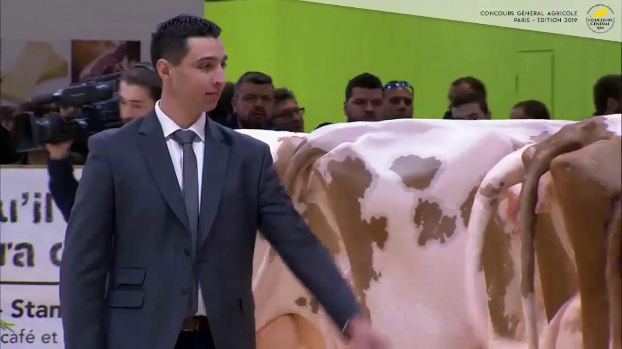 Concours race PRIM'HOLSTEIN 2019