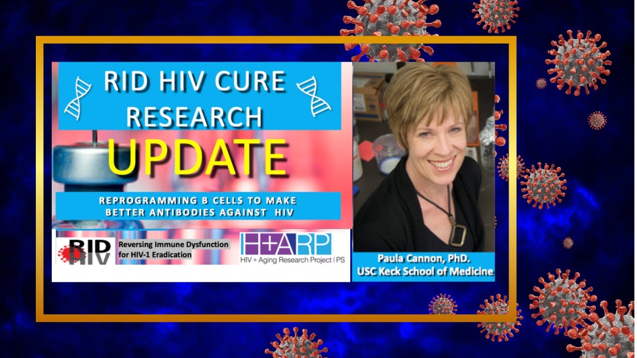 HIV Cure Research Update: Reprogramming B Cells to Make Better Antibodies Against HIV