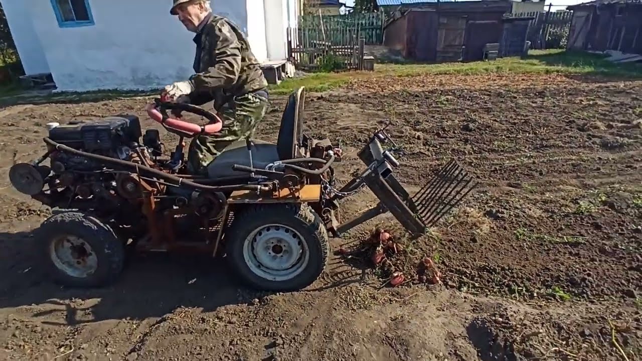 Копаем картошку трактором и вывозим её на просушку. Огород в деревне