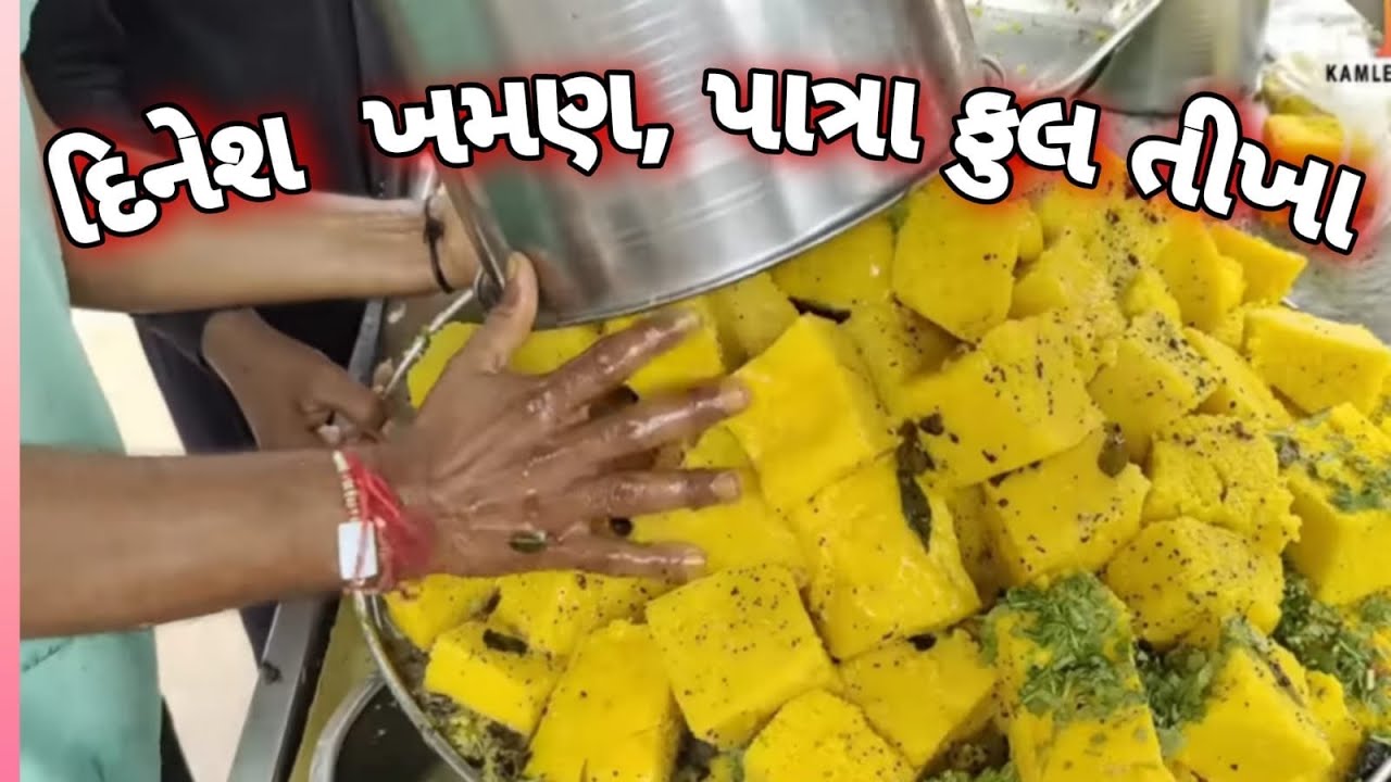 દિનેશ ખમણ ભુજ દહીં સાથે ખમણ અને પાત્રા ફૂલ તીખા ખાધા આવા ખમણ મેં પહેલી વાર ખાધા Dinesh Khaman