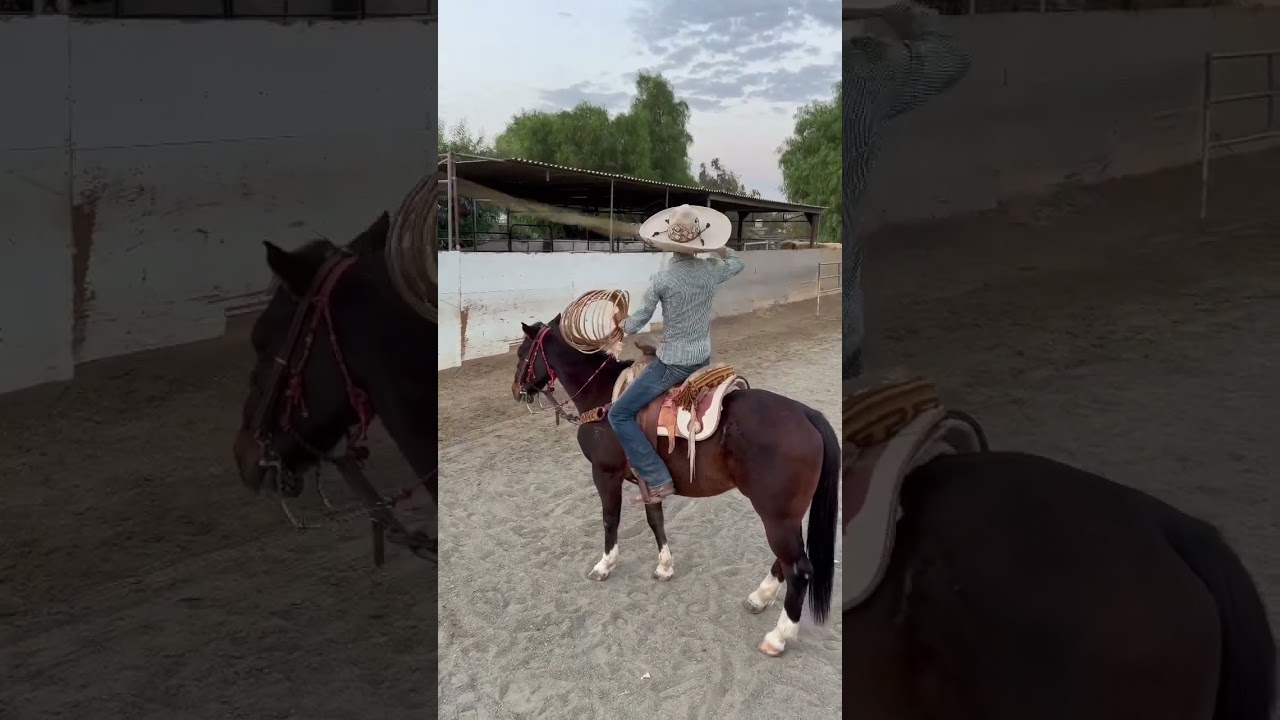SADDLE CAUGHT ON FIRE🙀🙀!!!! #charrer&iacute;a #tiktok #caballos #charros #piales #trending