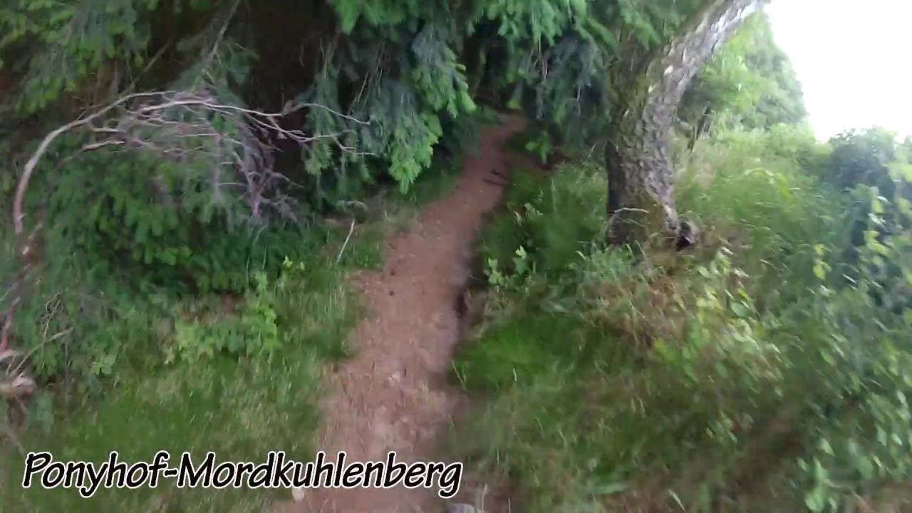 MTB Trails Dammer Berge GoPro