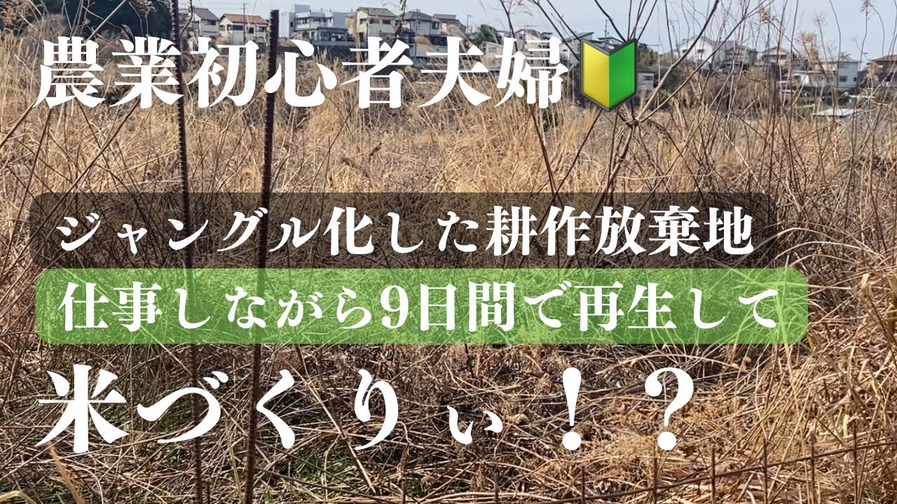 【農業初心者🔰サラリーマン】耕作放棄地600平方メートル9日で蘇らせて米づくり