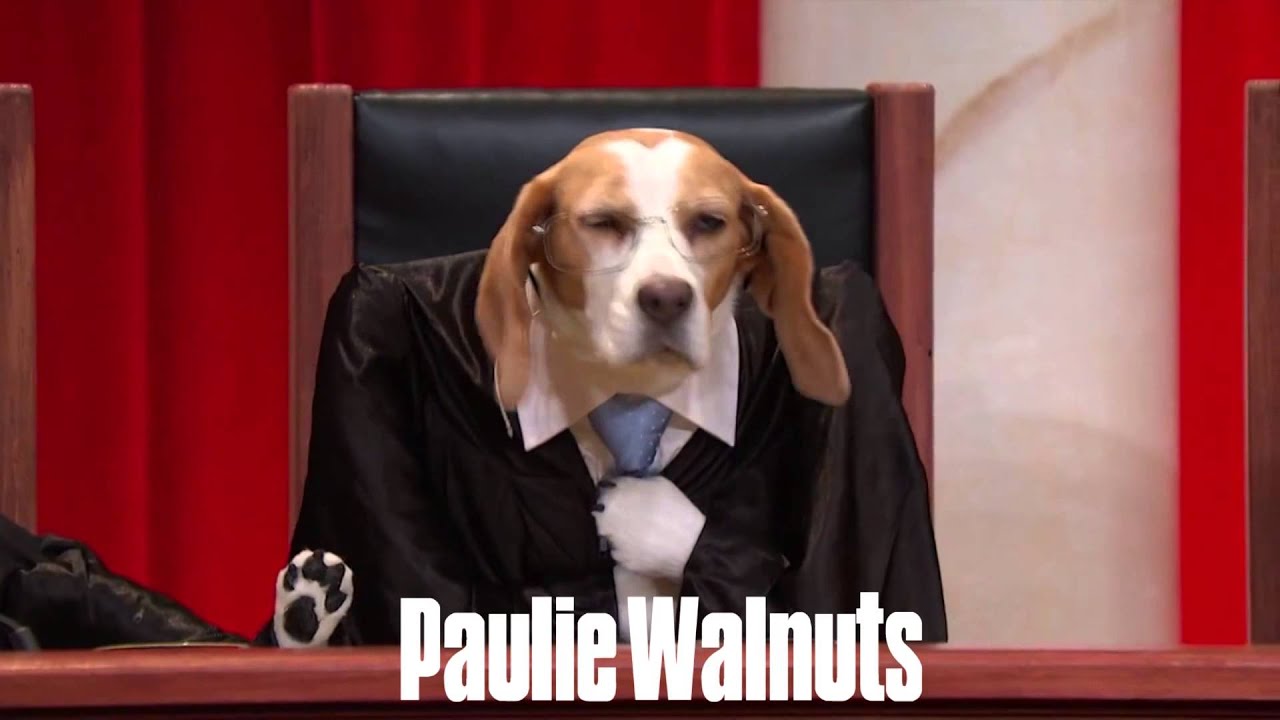 #RealAnimalsFakePaws - The Supremos