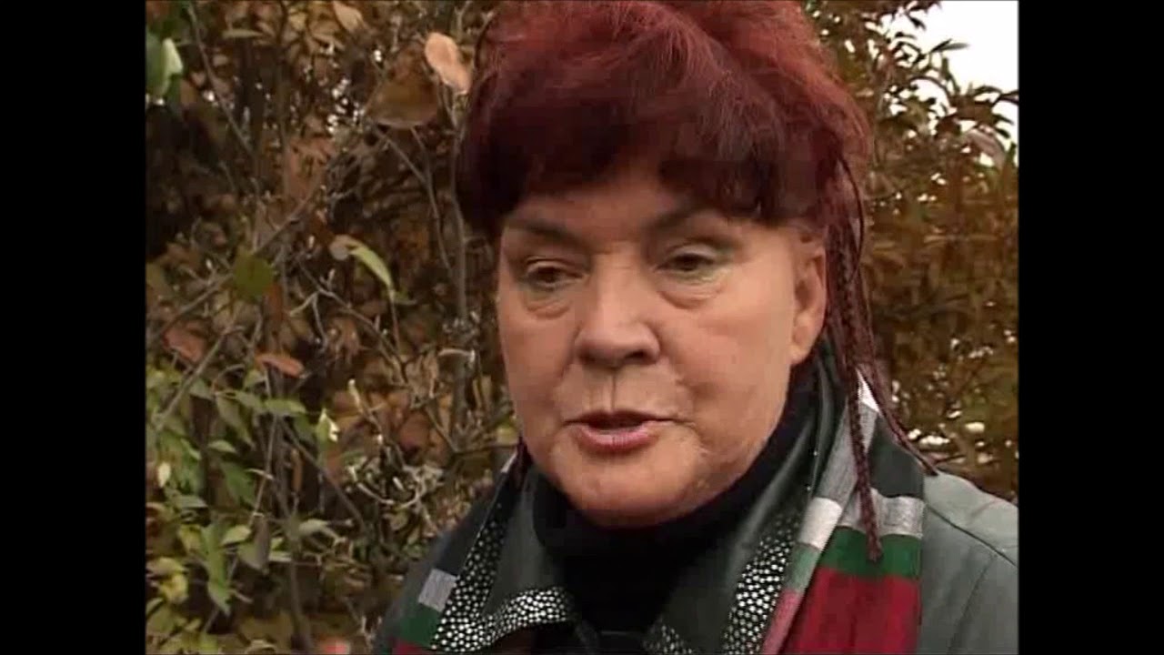 Magnolie na jesień - Ogrody Justyny