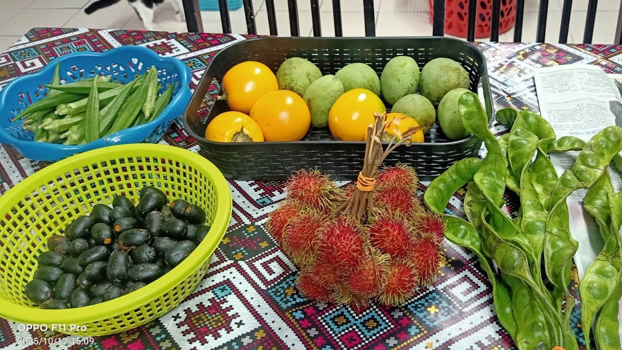 PASAR TAMU SIMPANG BEKENU