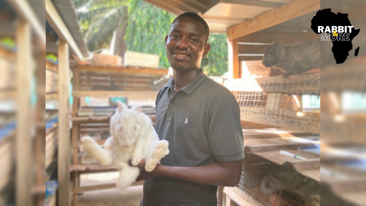 Choosing The Right Rabbit For Breeding
