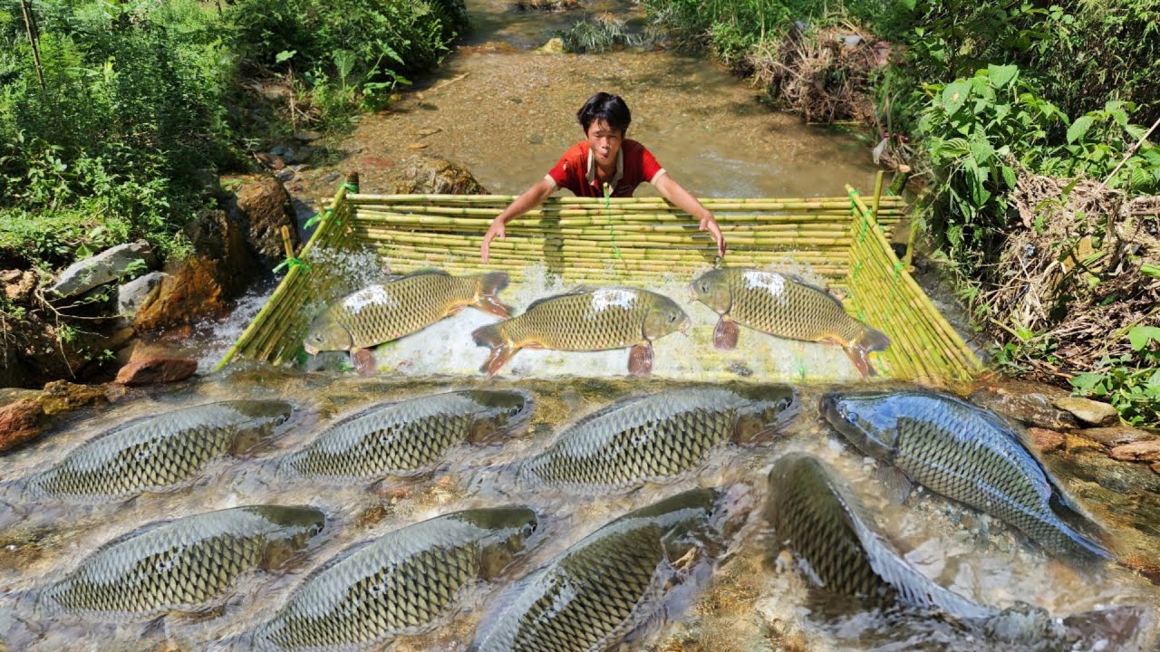 Boy Lam created an ancient fish trap, catching many big fish.