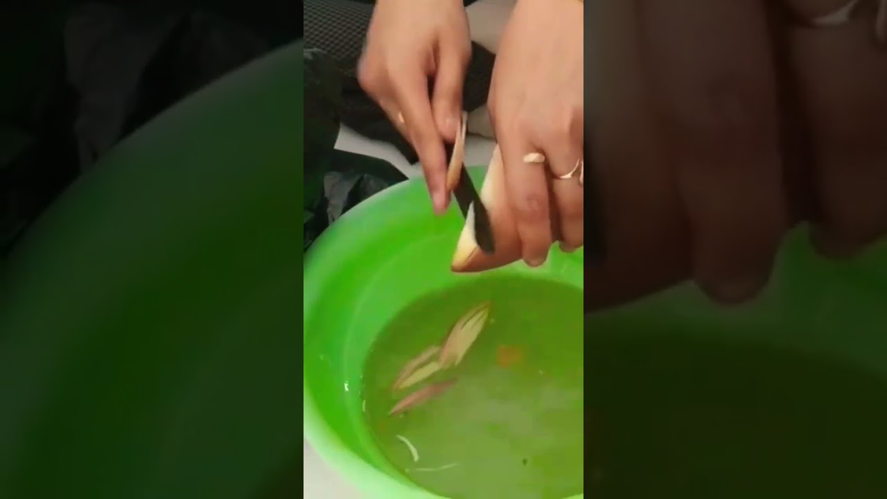 Masak kapurung pake jantong pisang guys🤤 #kapurung #food #papua