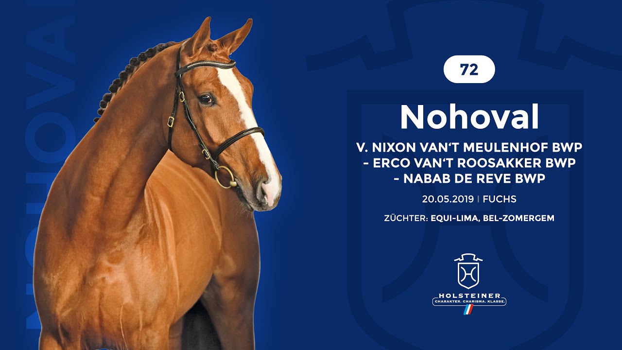 Verbandshengste 2022 - Nohoval v. Nixon-Erco van't Roosakker