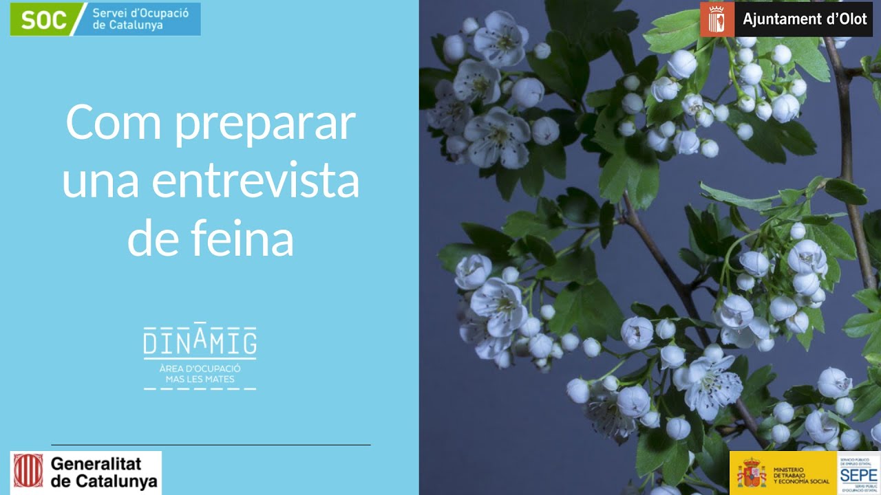 Tips entrevista de feina